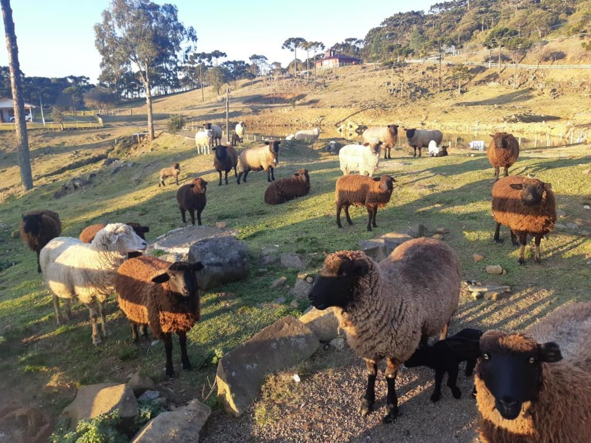 Pousada Rural Vale Da Neblina 乌鲁比西 外观 照片