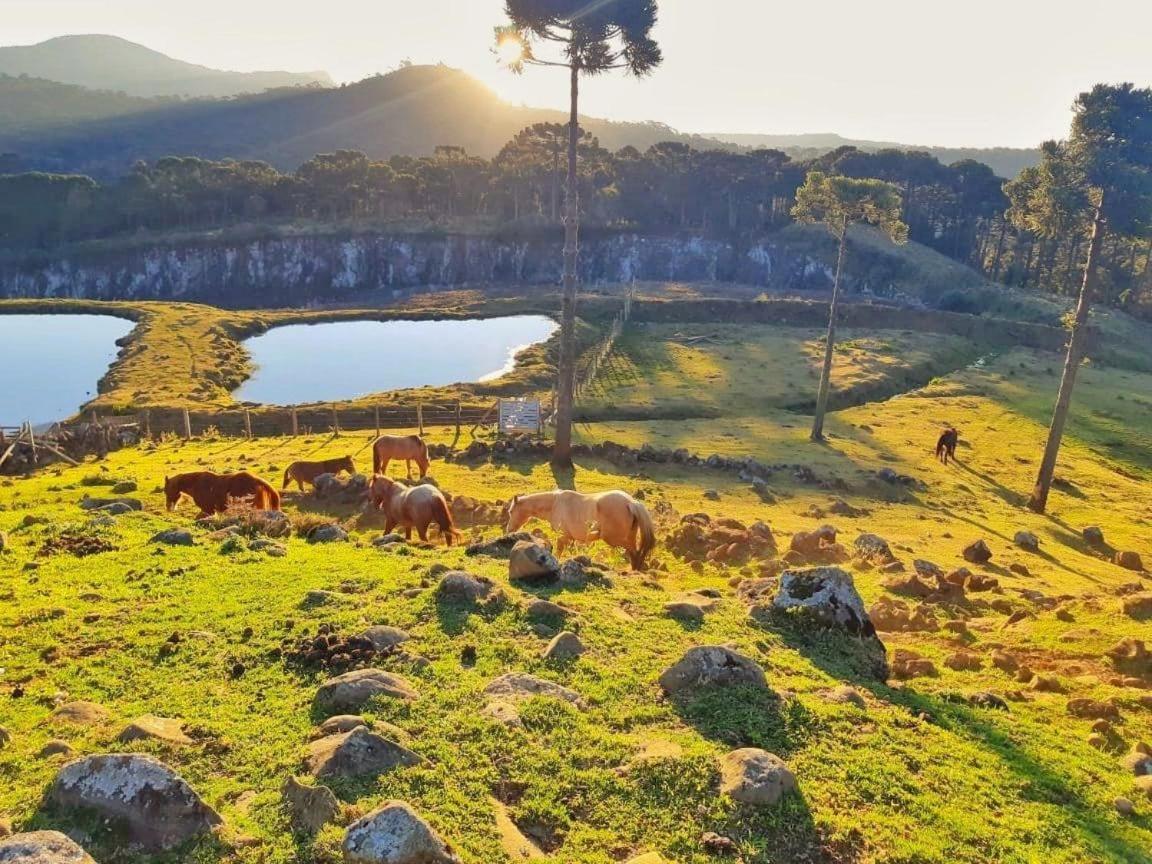 Pousada Rural Vale Da Neblina 乌鲁比西 外观 照片